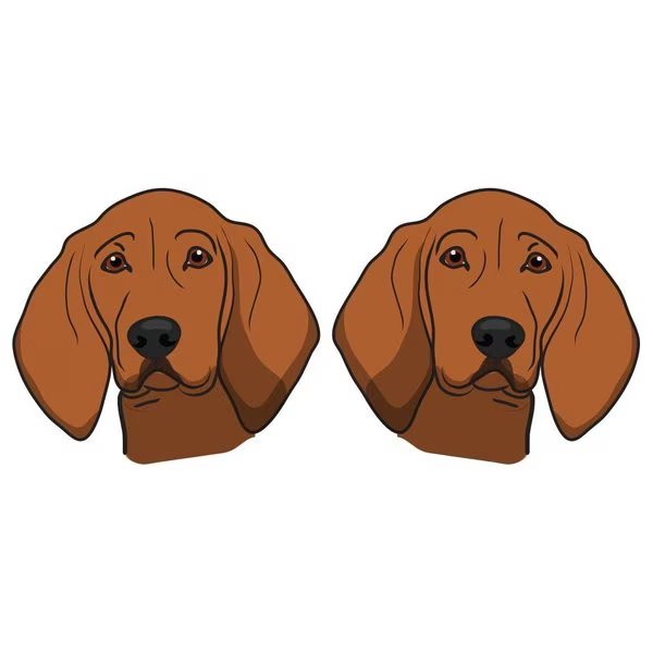 Redbone Coonhound Dog Decal, Dog Lover Decor Vinyl Sticker, Signmission, Mfr#: D-24-Redbone Coonhound
